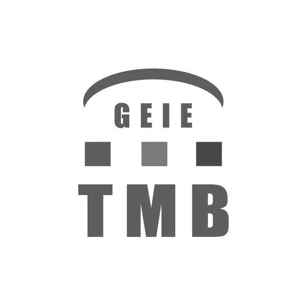 GEIE