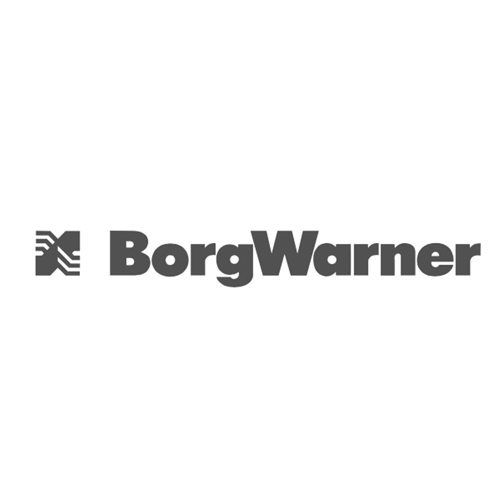 Borg Warner