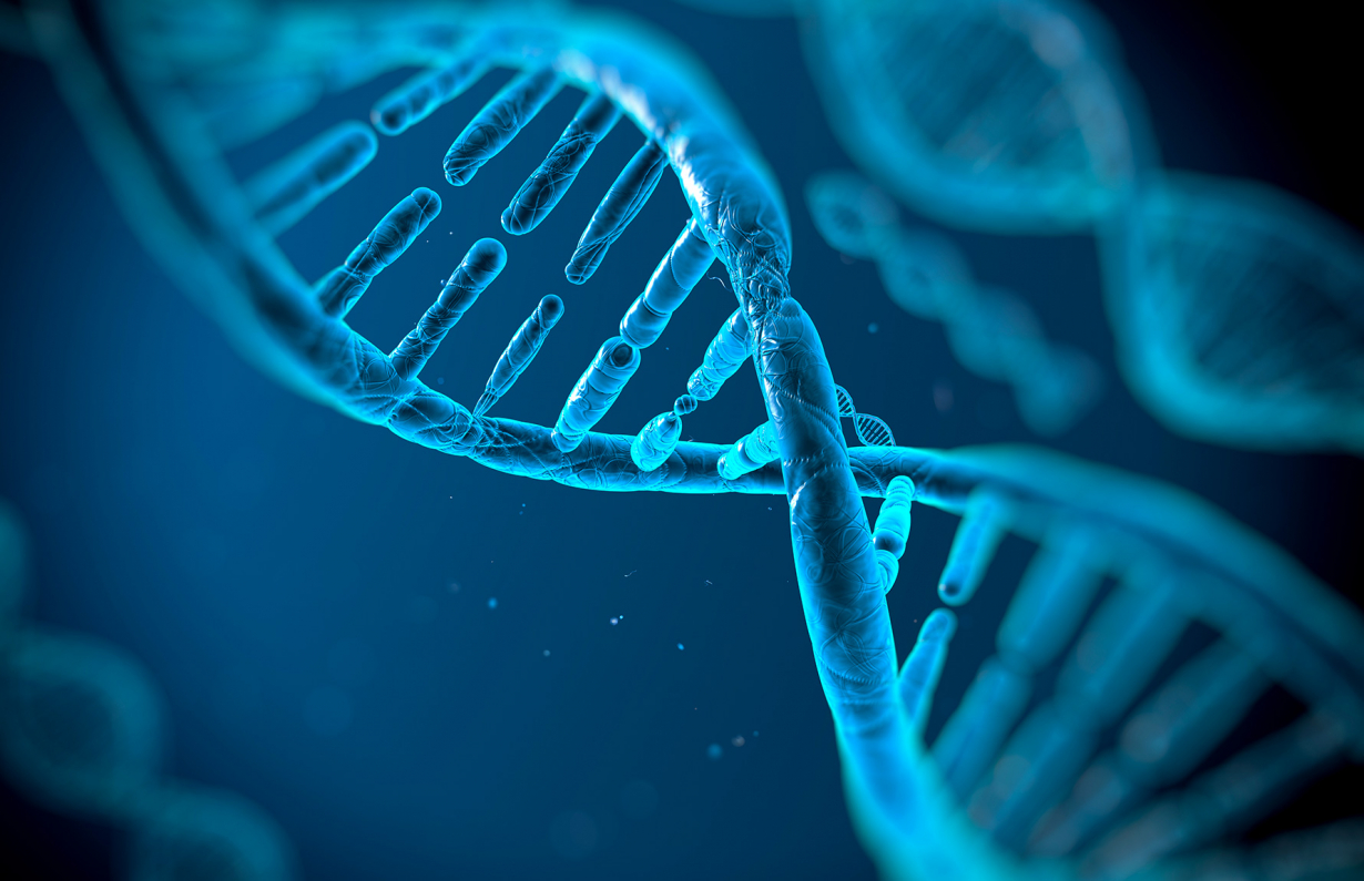 Life Sciences