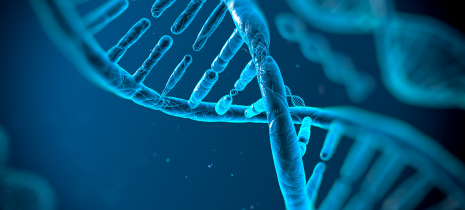 Life Sciences