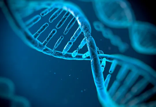 Life Sciences