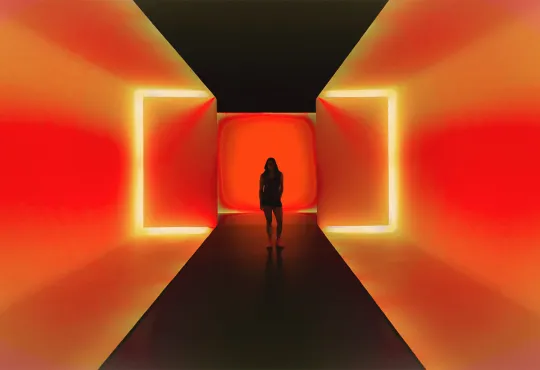 Video & animazioni 3D